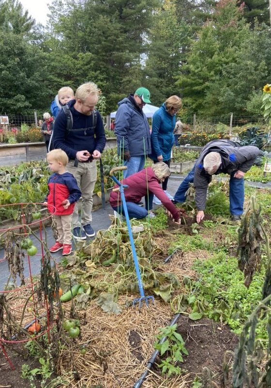 Art harvest garden